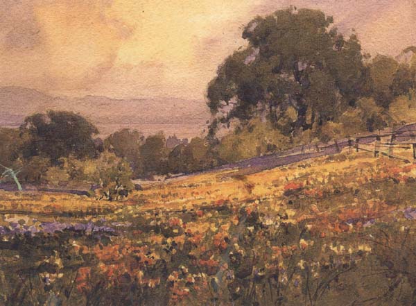 unknow artist California landscape